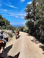 Agriturismo Scuderia Castello