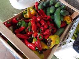 Agriturismo Scuderia Castello