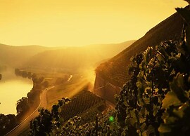 Apartment in Veldenz With Balcony