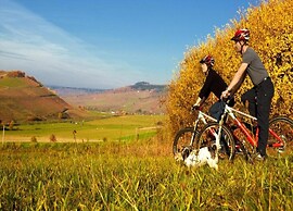 Apartment in Veldenz With Balcony