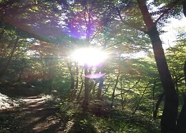 Apartment in Veldenz With Balcony