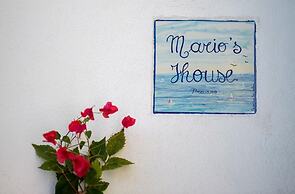 Mario's House