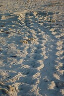 Sanibel Island Studio: Pool Access, Walk to Beach