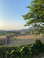 Teras Otel Gökçeada