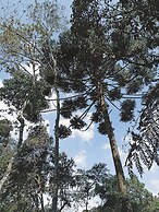 Chale de Vidro nas montanhas