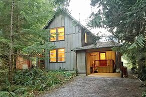 Mt Baker Rim Cabin 70 A pet Friendly Vacation Home With a hot tub and 