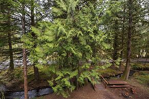 Mt Baker Lodging Condo 94 - A Great Condo Near Skiing and Hiking Now h