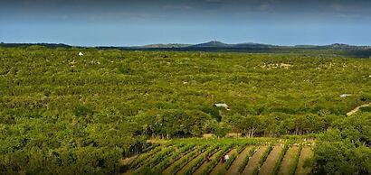 4 2 Firepit hot tub Scenic Views L2 EV Charger