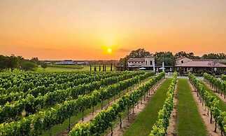 8b 4b Nearby Pool Blanco Wine Trail Town sq