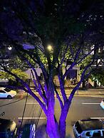 Hotel Granada Suites Deluxe