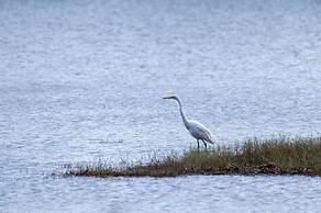 Ayurvedic Lanka Wellness Hotel