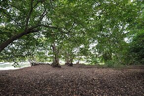 Ayurvedic Lanka Wellness Hotel