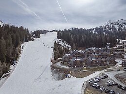 Chalet Near ski Area