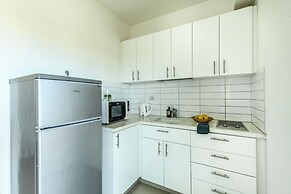 Studio apt w balcony and Kitchen