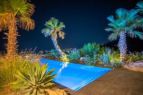 Luxury Villa Delphinus - Allparos Villas