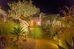 Luxury Villa Delphinus - Allparos Villas