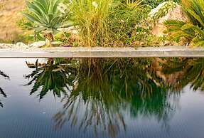 Luxury Villa Delphinus - Allparos Villas