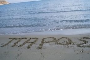 Stephany s Skyline Studio