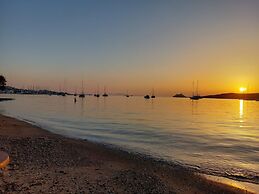 Stephany s Skyline Studio