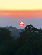 Cabane Tiny Tree House no4