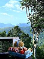 Cabane Tiny Tree House no4