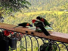 Cabane Tiny Tree House no4