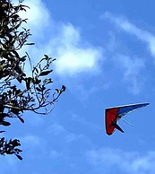 Cabane Tiny Tree House no4