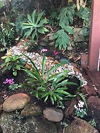 Cabane Tiny Tree House no4