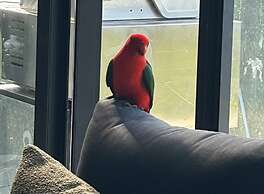 Belvedere Summer House