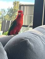 Belvedere Summer House