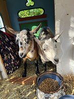 Belvedere Summer House