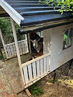 Belvedere Summer House