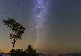 Jardin Tiny House Australia