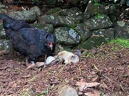 Jardin Tiny House Australia