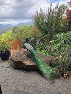 Jardin Tiny House Australia