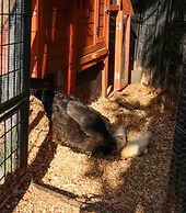 Jardin Tiny House Australia