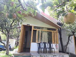 nine Apple Resort Dharali Harsil