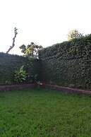 kili Kivuli