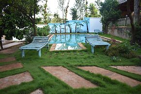 kili Kivuli