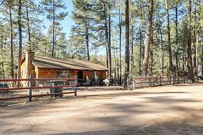Deck & Forest Views: Black Bear Cabin' in Payson