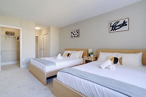 Crystal City Modern Apt w Gym