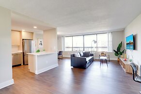 Crystal City Modern Apt w Gym