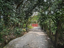 Pé na areia - Praia do Curral - Ilhabela