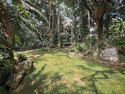 Pé na areia - Praia do Curral - Ilhabela