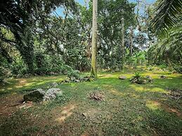 Pé na areia - Praia do Curral - Ilhabela