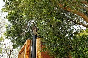 Luxury Eco Haven With Garden Cottage - Hout Bay