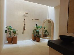 Macondo Arte Punta Zicatela