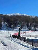 Bakuriani Apartment Studio