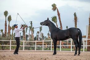 Villa PurSang Marrakech – Villa Privée de Luxe avec Hammam, Spa et Jar