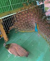 NARADA RESORT SHANGHAI  HOTEL Disney Store